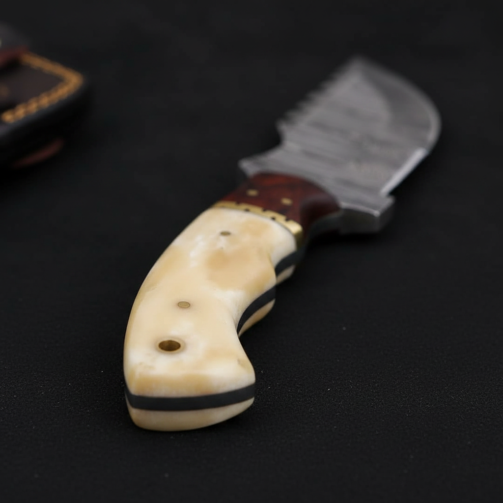 Close-up of smooth camel bone and dark rosewood combination handle with brass work and pins on charcoal background