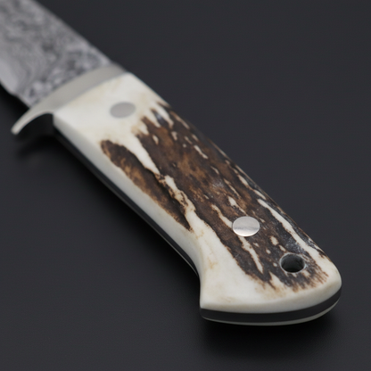Close-up of natural stag horn antler handle scales with stainless bolster and pins on black charcoal background