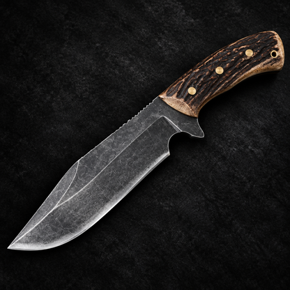 Carbon steel boar Bowie hunting knife stag antler handle studio shot deep black charcoal background